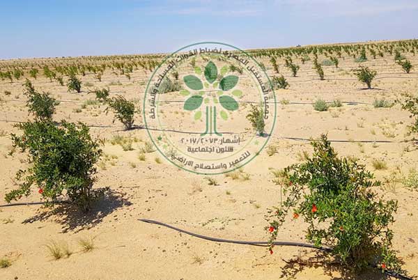 جمعية المستقبل المصري لضباط الشرطة بالغربية للتعمير واستصلاح الارضي
